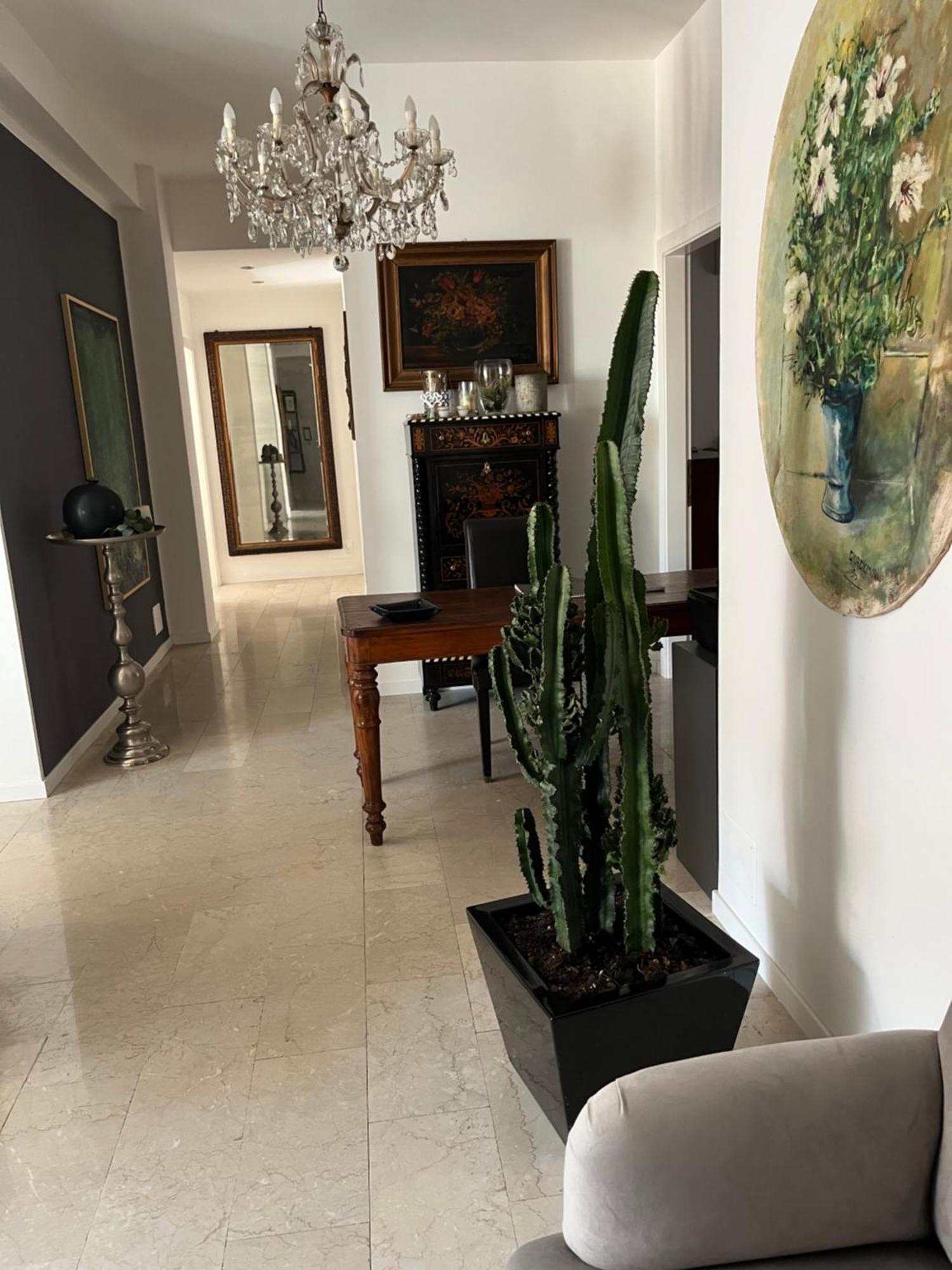 Fleur Blanche Bed & Breakfast Verona Luaran gambar